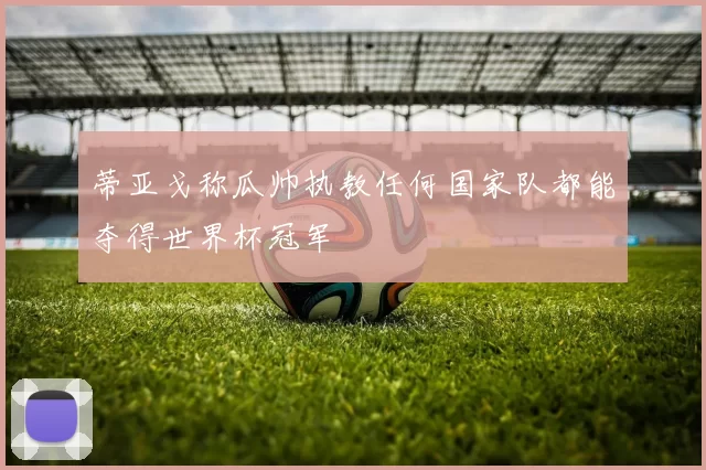 蒂亚戈称瓜帅执教任何国家队都能夺得世界杯冠军