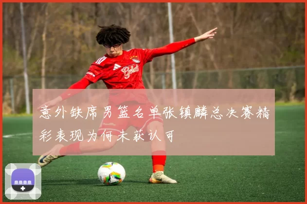 意外缺席男篮名单张镇麟总决赛精彩表现为何未获认可