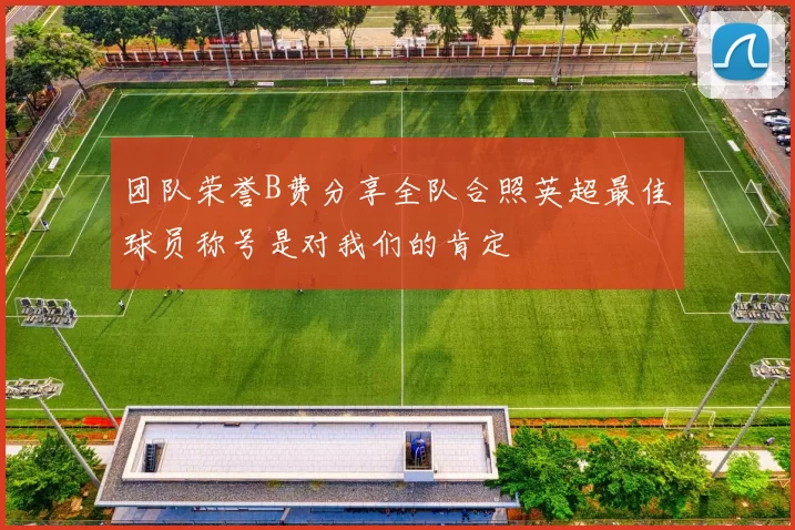 团队荣誉B费分享全队合照英超最佳球员称号是对我们的肯定